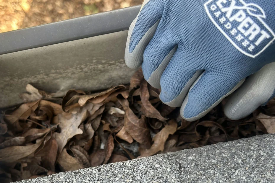 Gutter Cleaning Finneytown